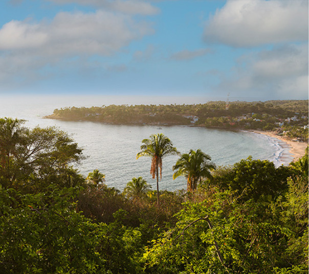 Untitled design (11)